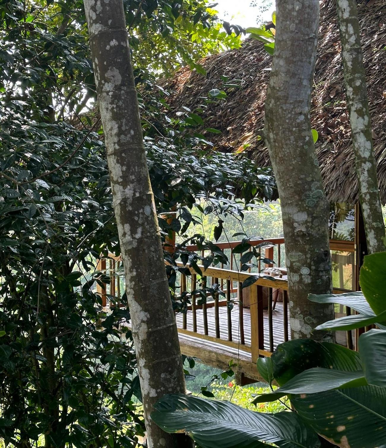 Boutique Garden 4*